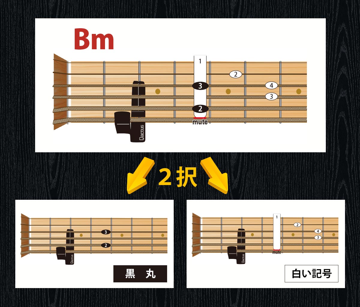 ギター挫折者をゼロにする新発明 Qactus STARTERS KIT カクタス・スターターズキット 1upStage 1アップ・ステージ セーハ バレーコード攻略