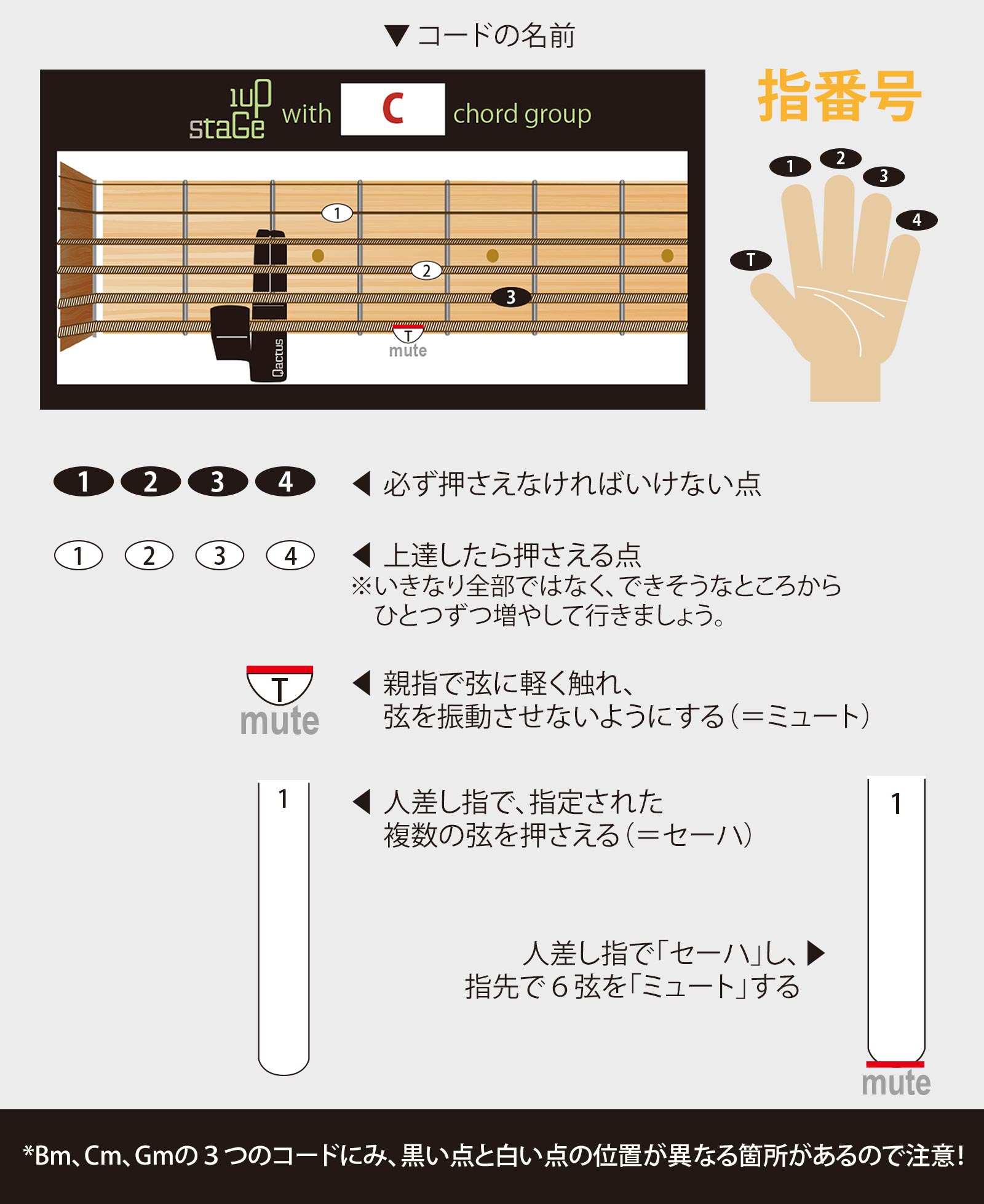 ギター挫折者をゼロにする新発明 Qactus STARTERS KIT カクタス・スターターズキット 1upStage 1アップ・ステージ ダイアグラムの読み方