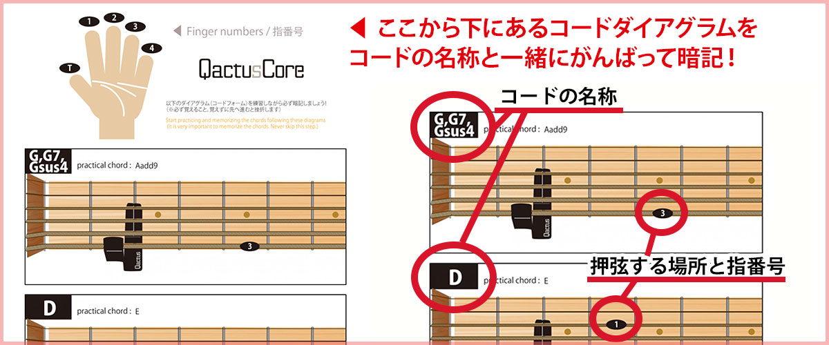 ギター挫折者をゼロにする新発明 Qactus STARTERS KIT カクタス・スターターズキット QactusCore カクタスコア