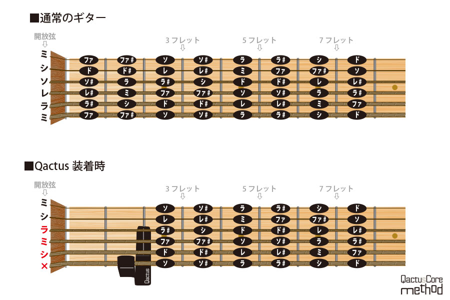 QactusCore-Method カクタスコア・メソッド Stage-2 