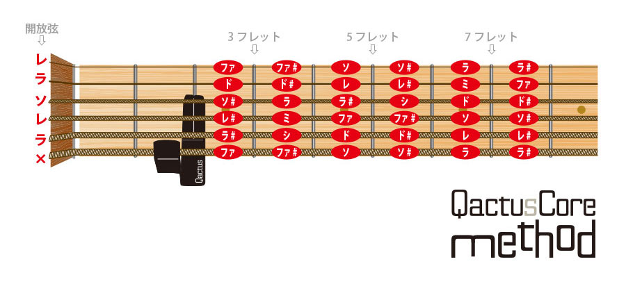 QactusCore-Method カクタスコア・メソッド Stage-3