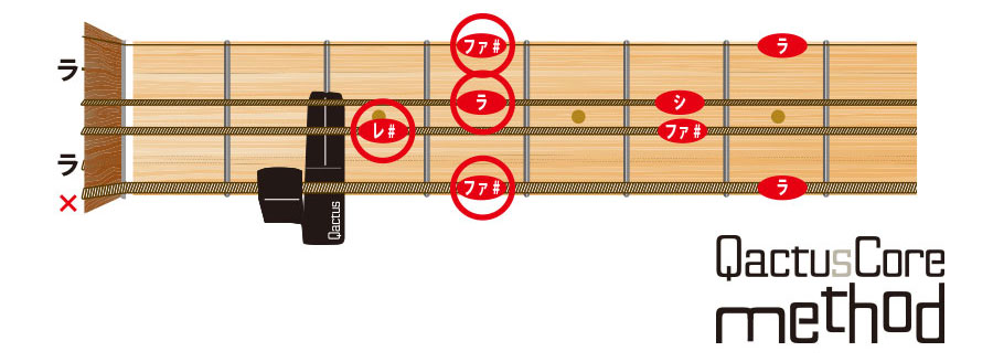 QactusCore-Method カクタスコア・メソッド Stage-3